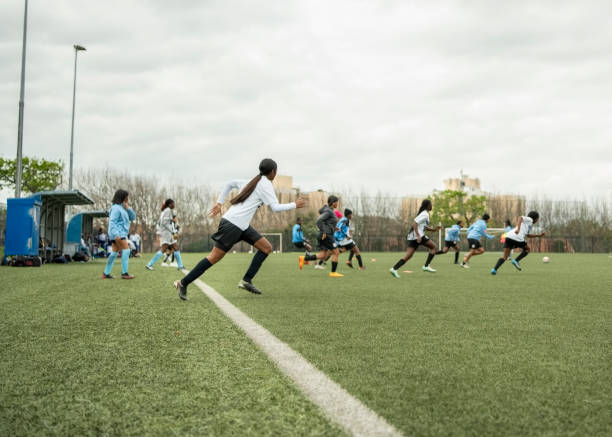 在去年季后 在去年季后