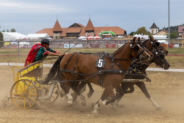挑战的关键 挑战的关键